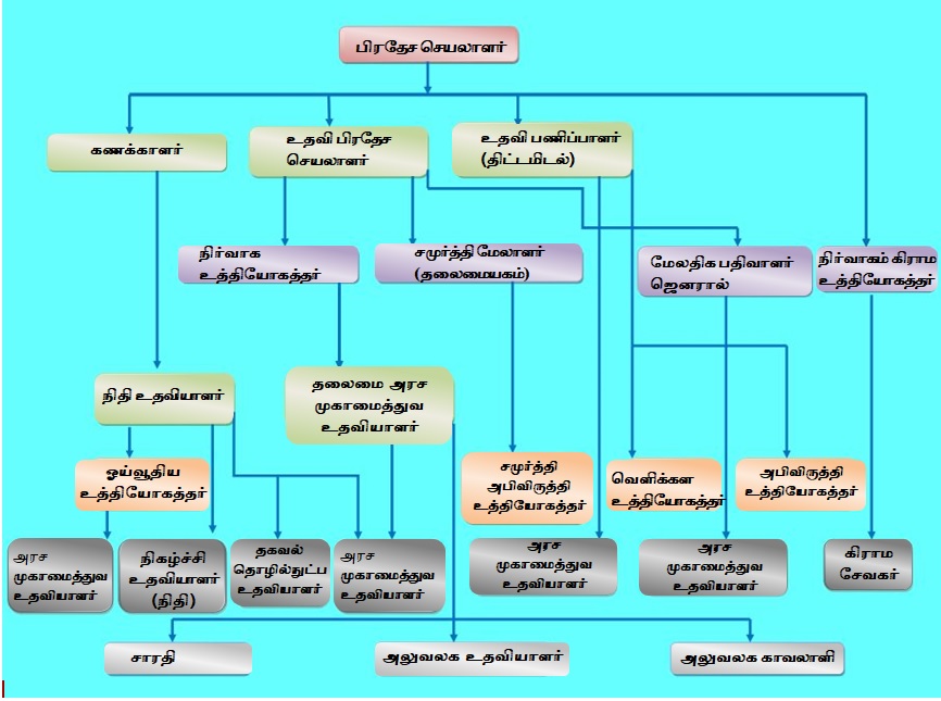 organizationchart t